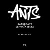 Ants in Madrid